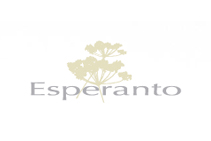 S_120_80_logo-esperanto
